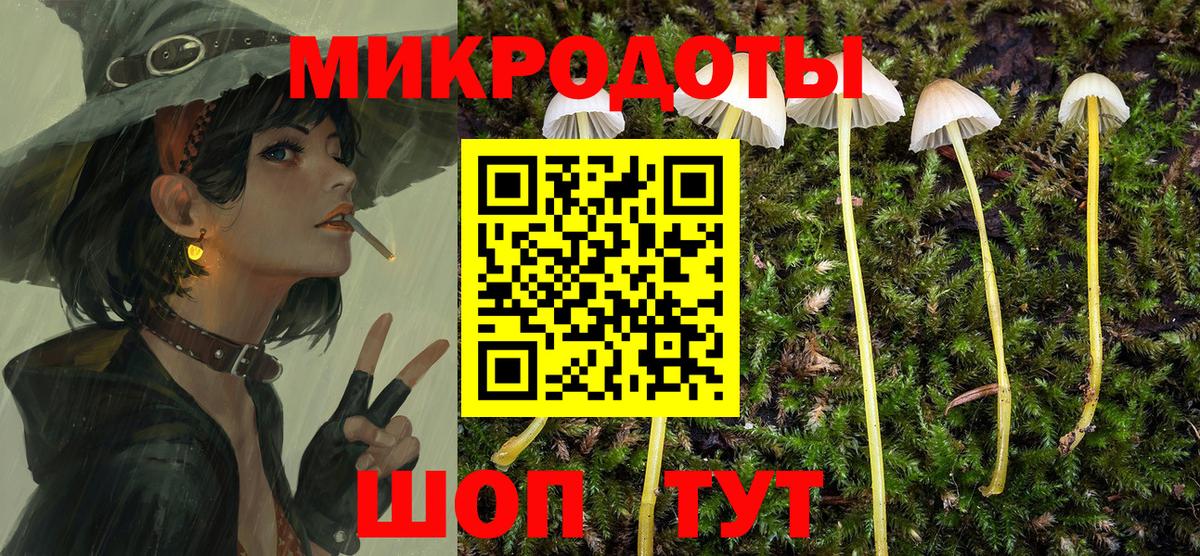 Галлюциногенные грибы Psilocybine cubensis Барнаул